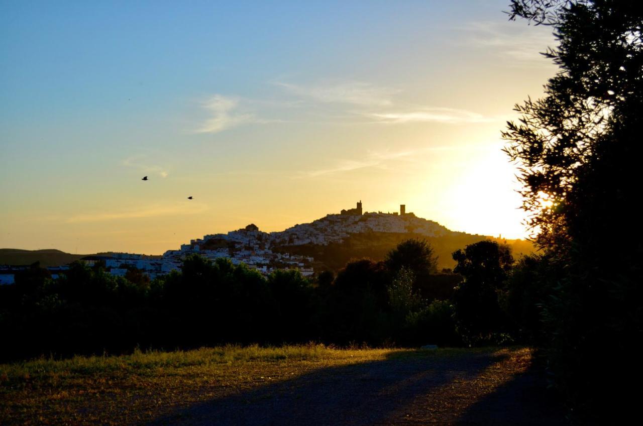 Pensjonat Cortijo Mesa De La Plata Arcos de la Frontera Zewnętrze zdjęcie