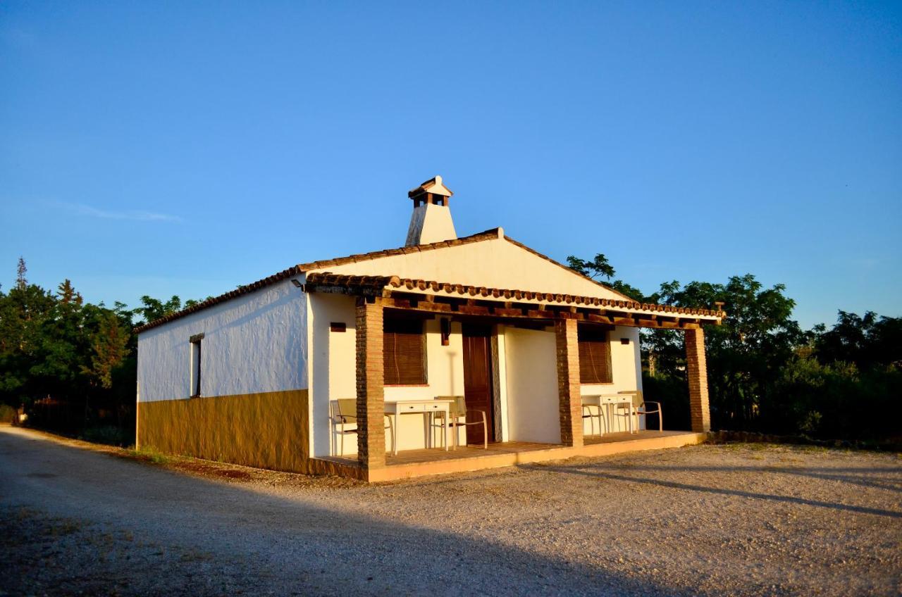 Pensjonat Cortijo Mesa De La Plata Arcos de la Frontera Zewnętrze zdjęcie