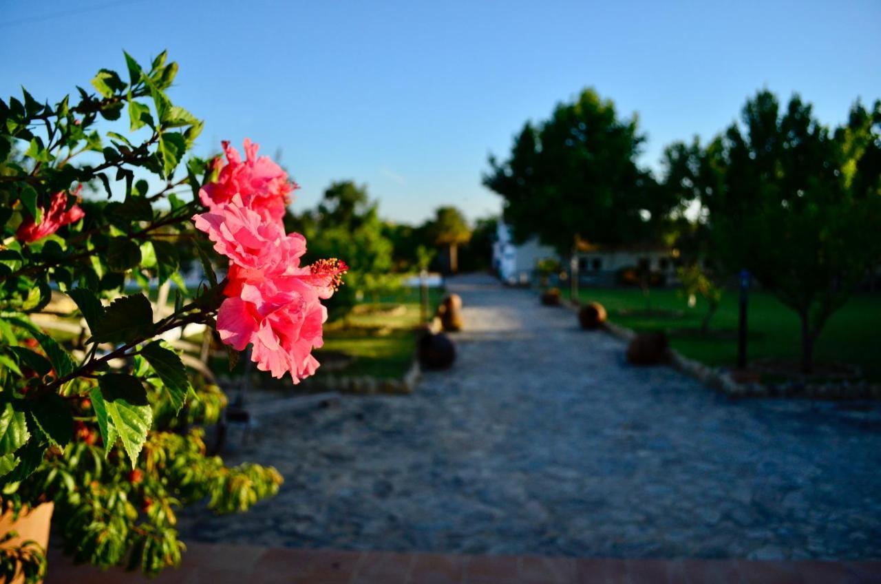 Pensjonat Cortijo Mesa De La Plata Arcos de la Frontera Zewnętrze zdjęcie