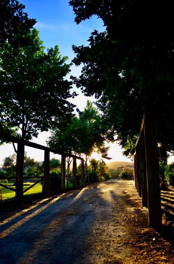 Pensjonat Cortijo Mesa De La Plata Arcos de la Frontera Zewnętrze zdjęcie